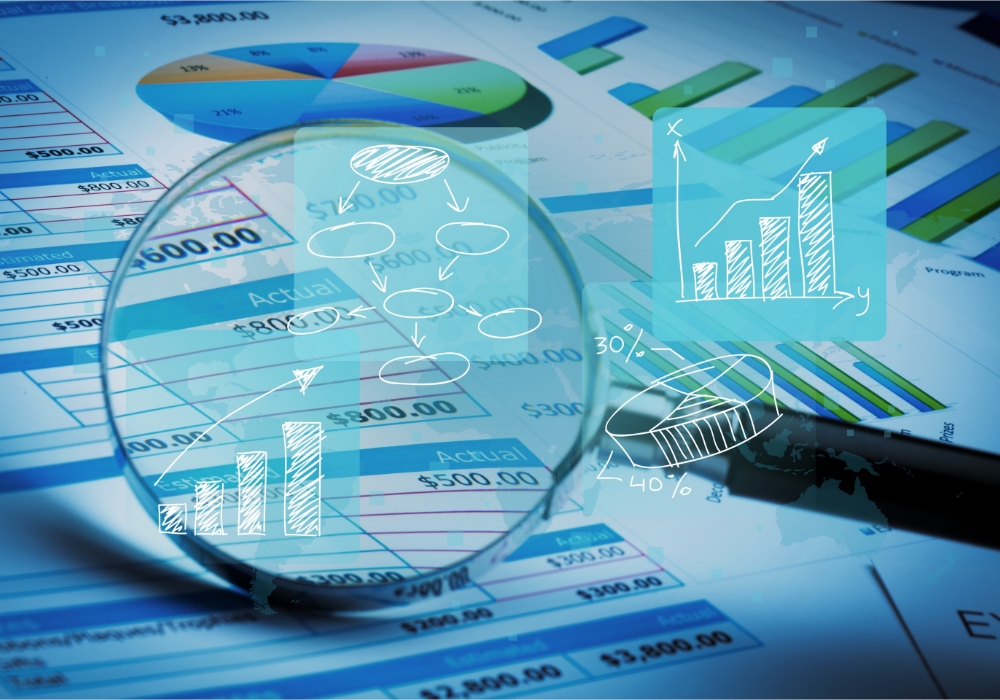 Buyer/Bank Risk Assessment Report