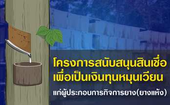 โครงการสนับสนุนสินเชื่อ เพื่อเป็นเงินทุนหมุนเวียนแก่ผู้ประกอบการกิจการยาง (ยางแห้ง)