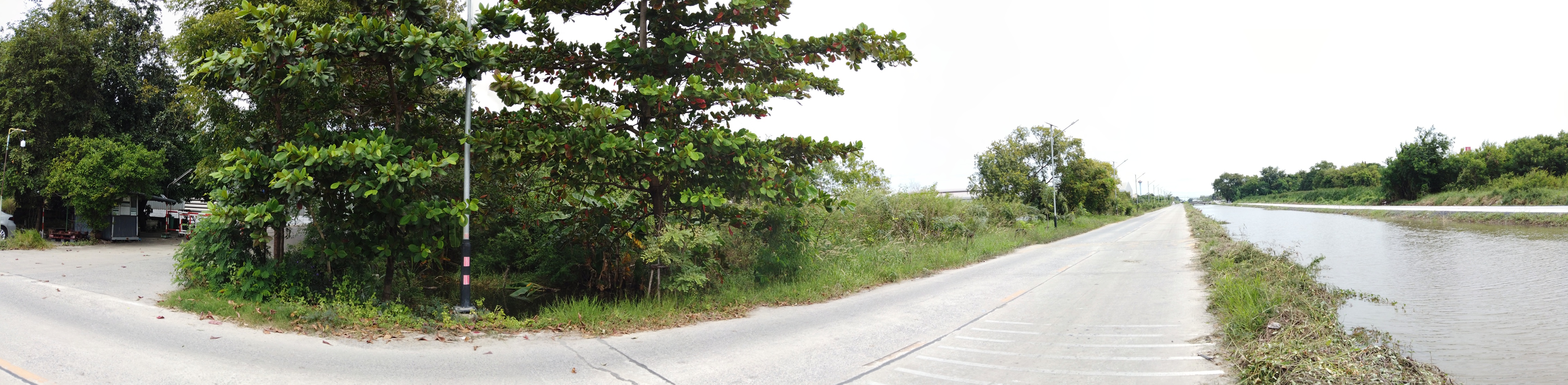 พระนครศรีอยุธยา [1-1-พย.-118]